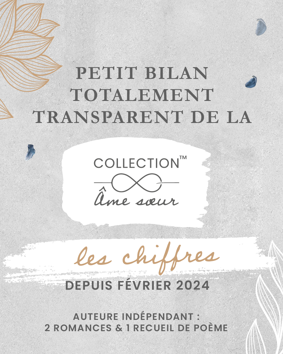 bilan depuis la publication de mon premier livre