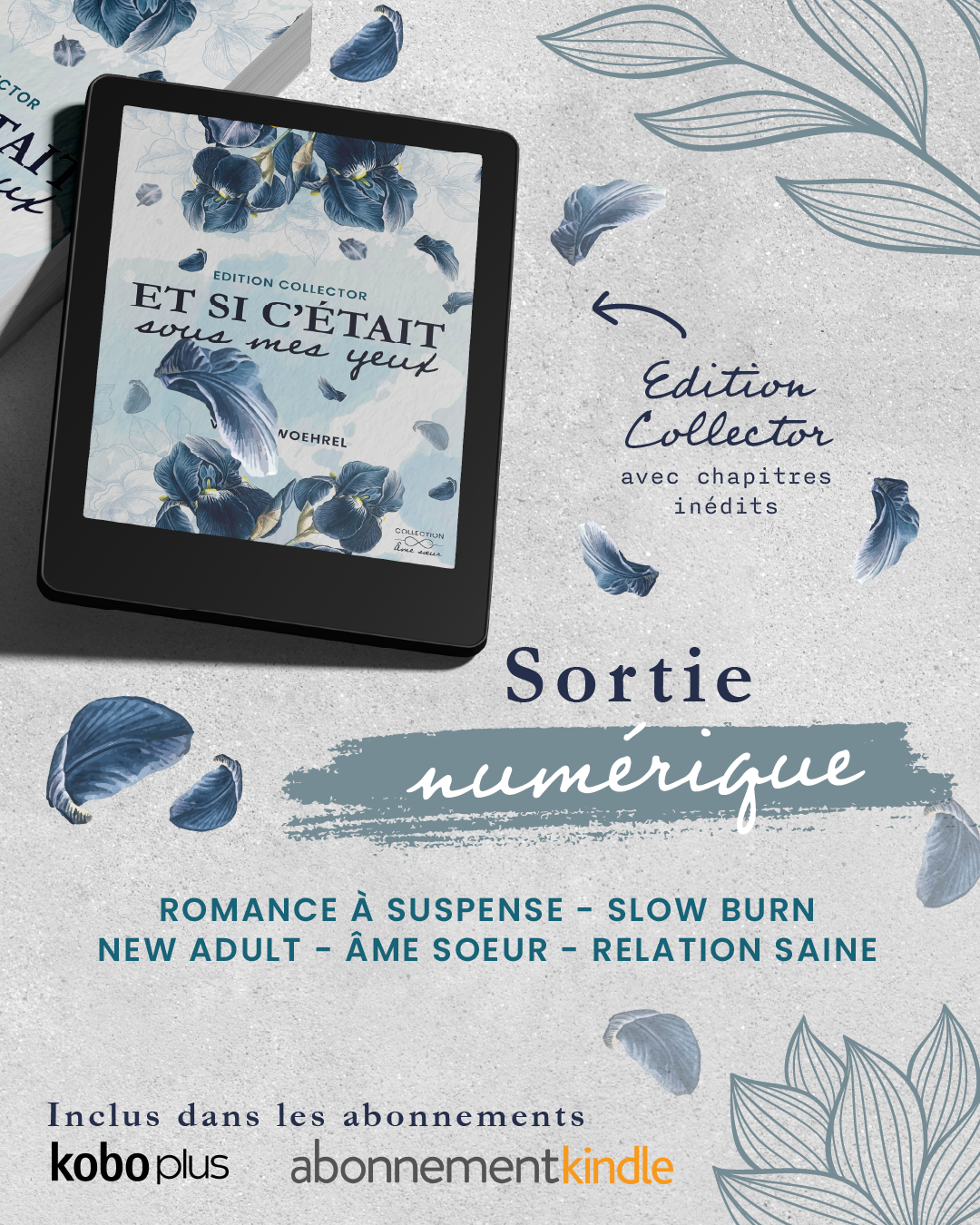 SORTIE NUMÉRIQUE DU COLLECTOR !