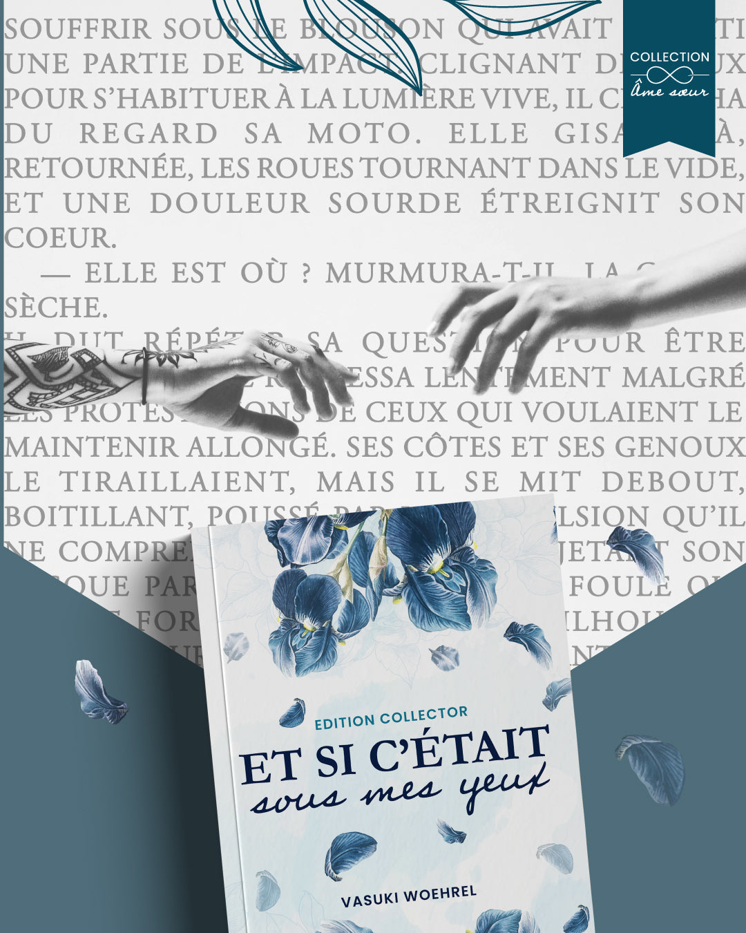 Et si c’était sous mes yeux, une histoire de rencontre entre Seth et une inconnue