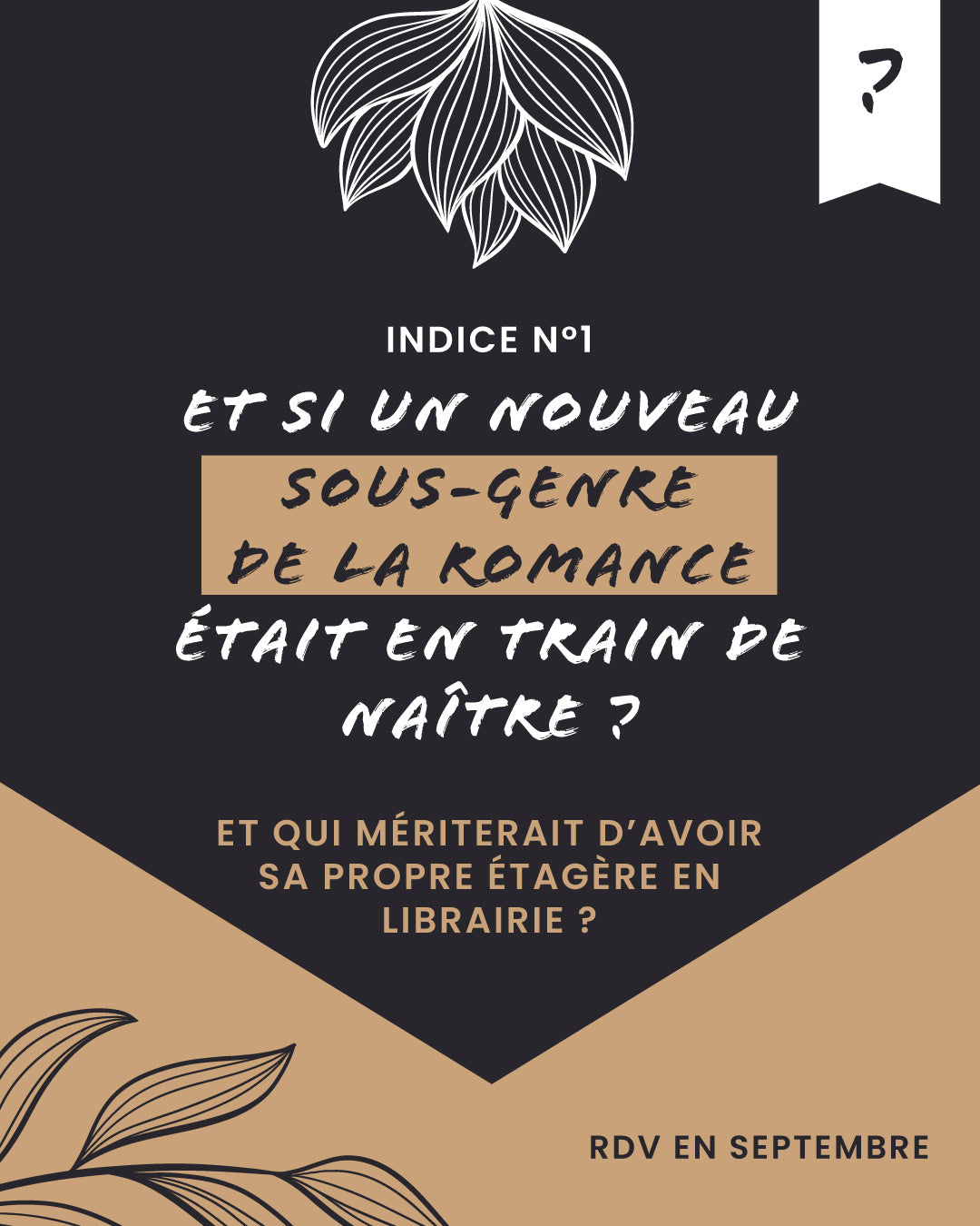 Projet n°5 : et si un nouveau sous-genre de la romance était en train de naître ?